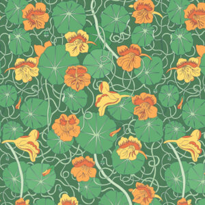 Nasturtium pattern - "The Secret Garden"