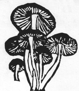 Mushroom lino print